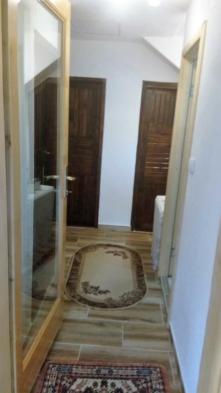 זבליאק Apartman Tosic מראה חיצוני תמונה