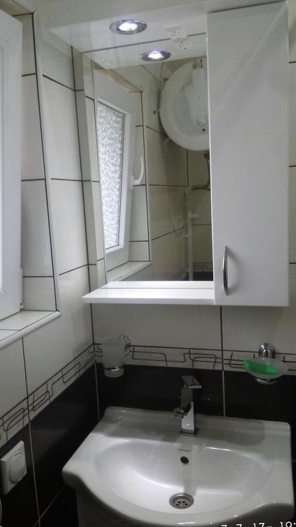 זבליאק Apartman Tosic מראה חיצוני תמונה