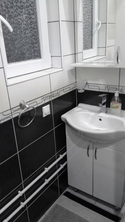 זבליאק Apartman Tosic מראה חיצוני תמונה