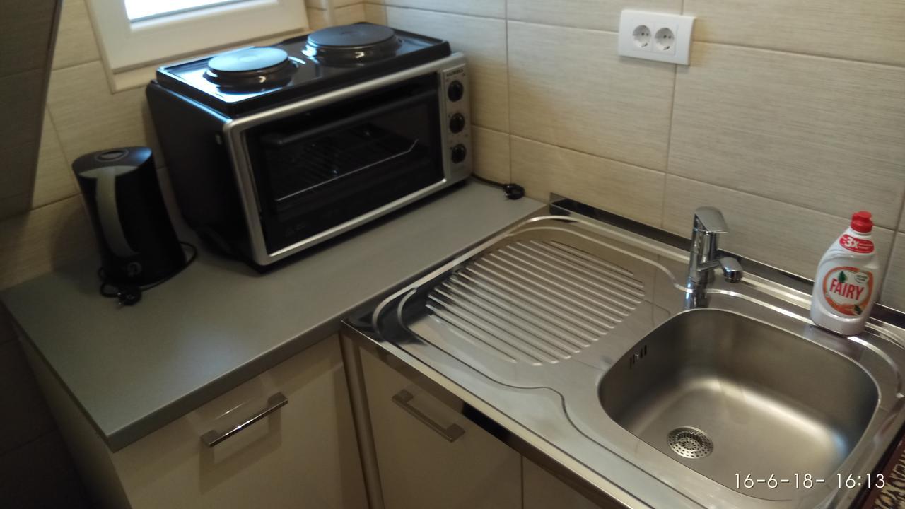 זבליאק Apartman Tosic מראה חיצוני תמונה