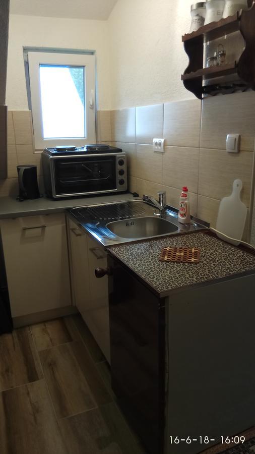 זבליאק Apartman Tosic מראה חיצוני תמונה